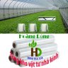 hoangdunggreen1